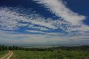 Vinnalls in High Summer