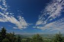 Summer on Mortimer Forest