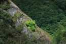 Dylife Rockface