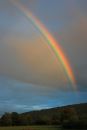 Supernumerary Bow.