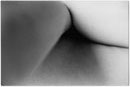 Body  1