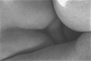 Body 2
