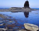 Black Nab