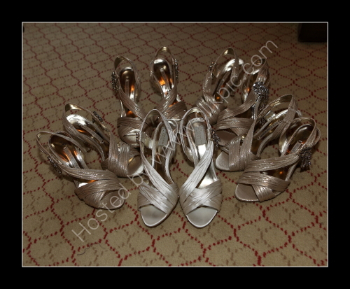 Bride & Bridesmaids Shoes