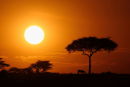 Sunset  - Masai Mara