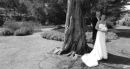 Under The Tree - Alex and Richard