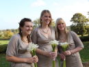 The 3 Bridesmaids