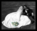 Katie & Nathan - Upton House - Poole