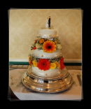 Cake at the wedding of Stephanie & Luke