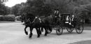 Mike & Nikki's Wedding - East Horton Golf Club and Marwell