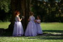 Under the Tree @ Lisa & Matt's Wedding - Alverstoke