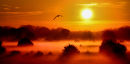 Misty Dawn