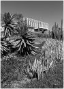 Civic Offices, Capital City
