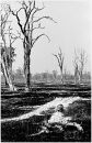Elegy for Luangwa