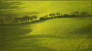 Long shadows