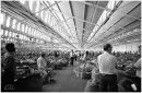 Auction Holdings - tobacco auction floor, Lilongwe
