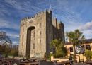 Bunratty Castle and Durty Nelly's, county clare, ireland