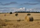 Countryside farming landscape