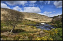 Connemara river landscape