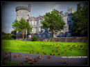 Dromoland Castle Ducks