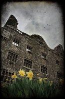Leamaneh Castle, County Clare