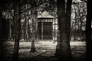 Auschwitz Birkenau