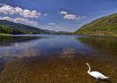 Scenic lake landscape