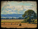 Countryside Landscape