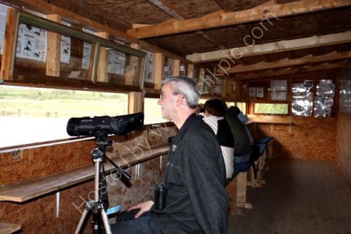 Hiding in a Hide !