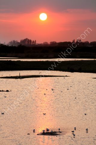 Sunset over the Wetlands