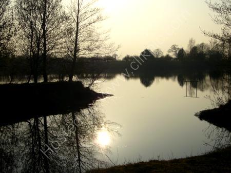 Reflections